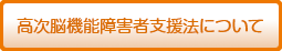 高次脳機能障害者支援法について